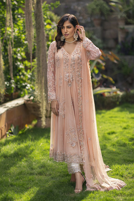 Peach Net Peshwas