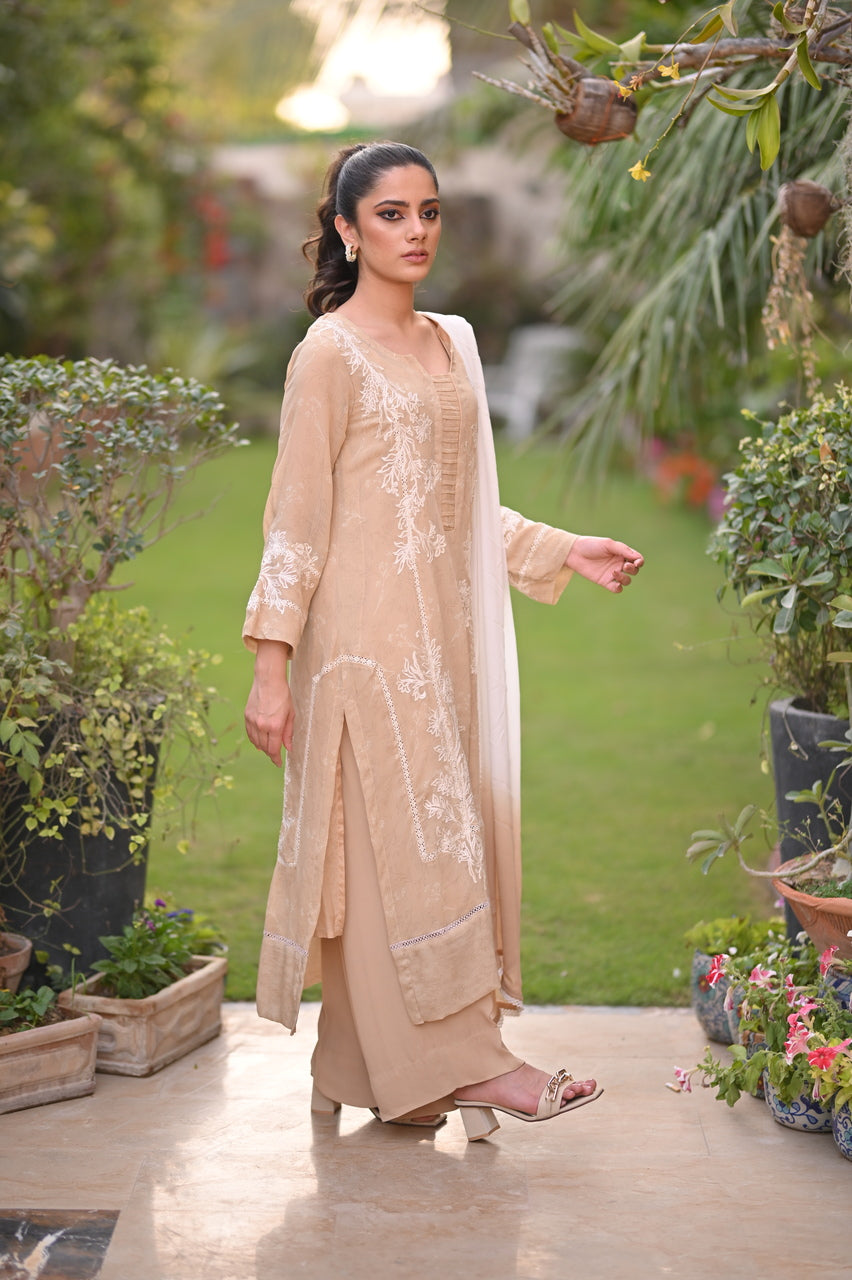 formal wedding wear in Pakistan - best formal wear - demanding pakistani fashion brands